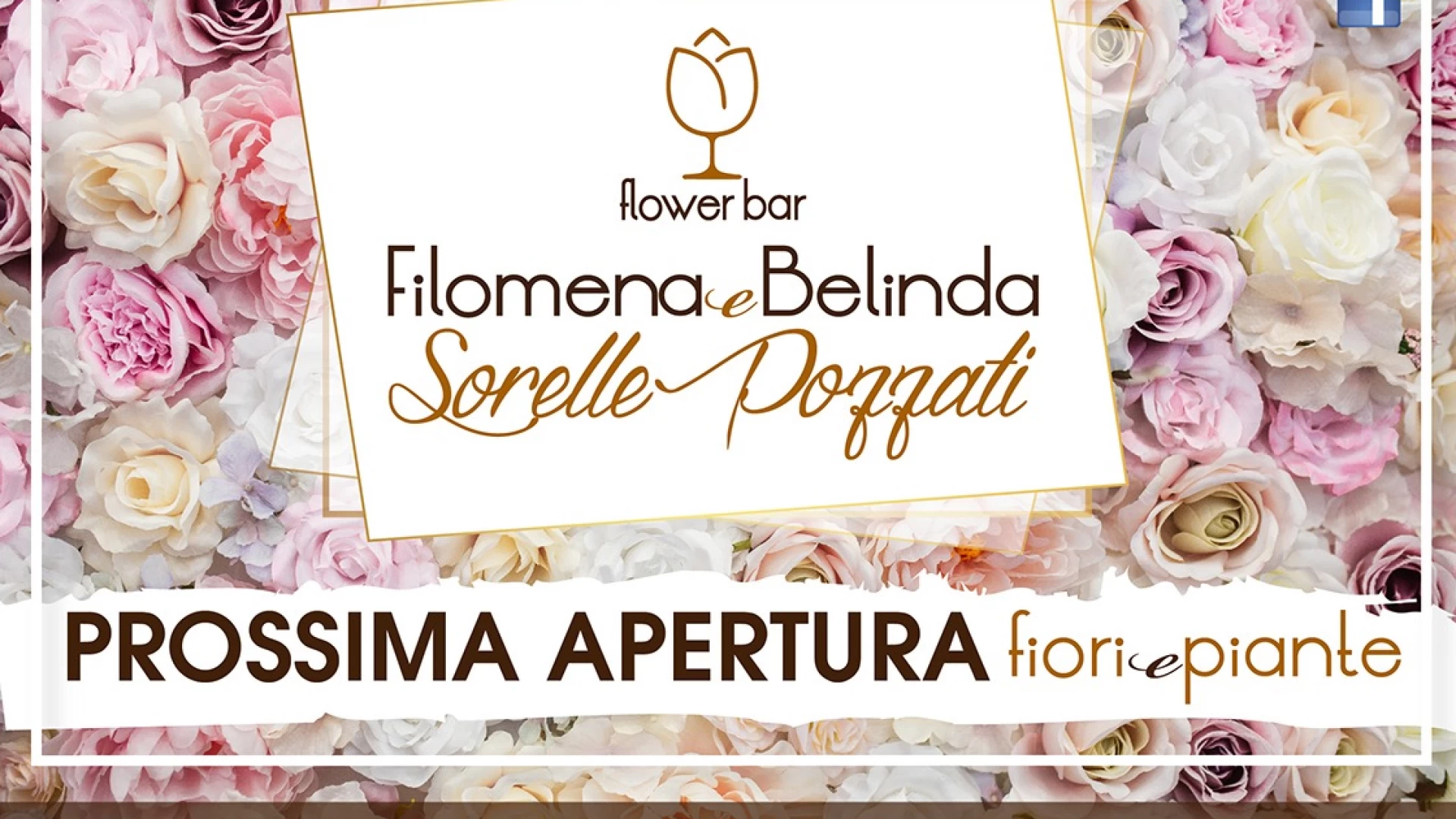 Ad Isernia apre il Flower Bar delle sorelle Filomena e Belinda Pozzati. Piante, fiori ed un modo innovativo di “coccolare” tutti i clienti.