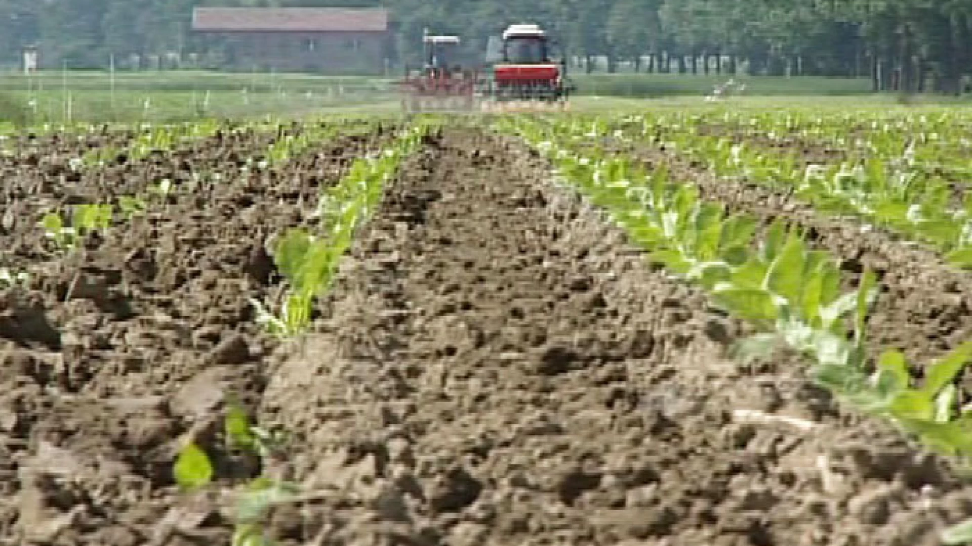 Psr 2014-2020, apertura bando Misura 13. Soddisfazione è stata espressa dalla  Cia - Agricoltori italiani del Molise.
