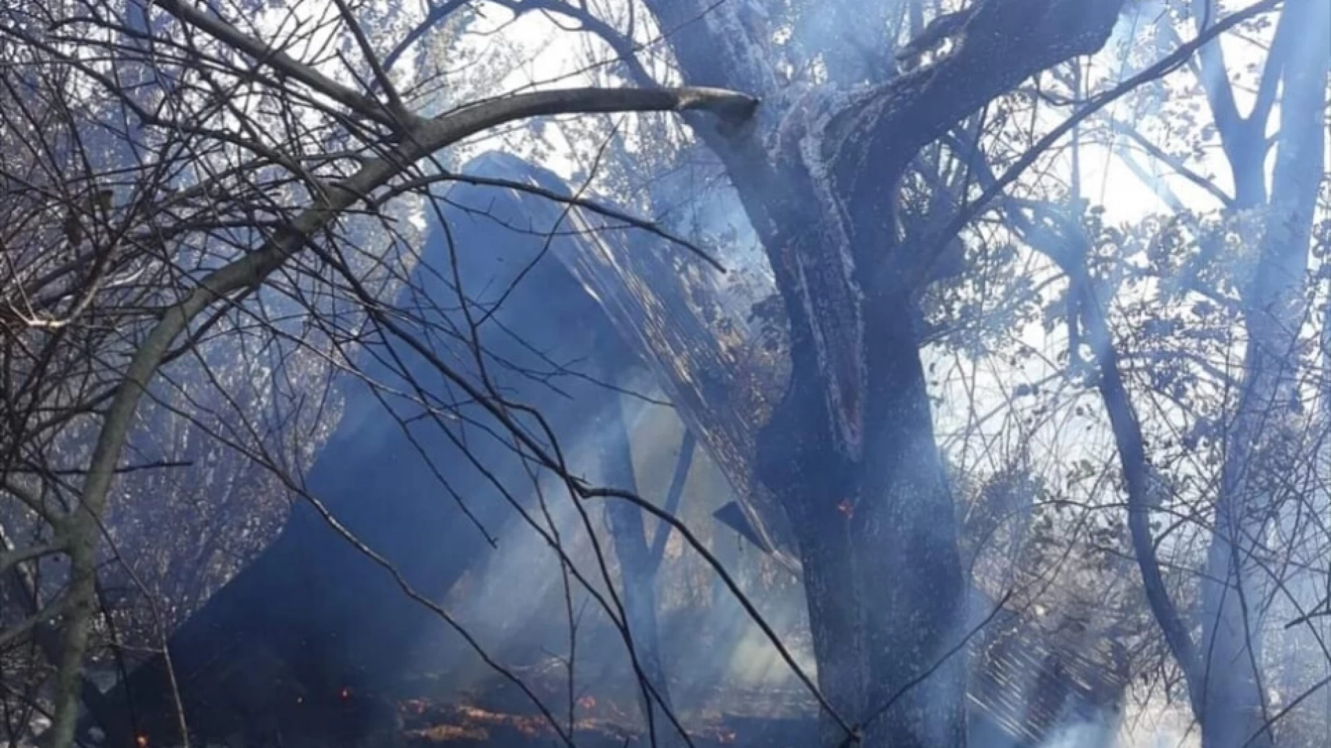 Colli a Volturno: vasto incendio nei pressi della frazione Valloni. Ettari di bosco e uliveti andati in fumo.