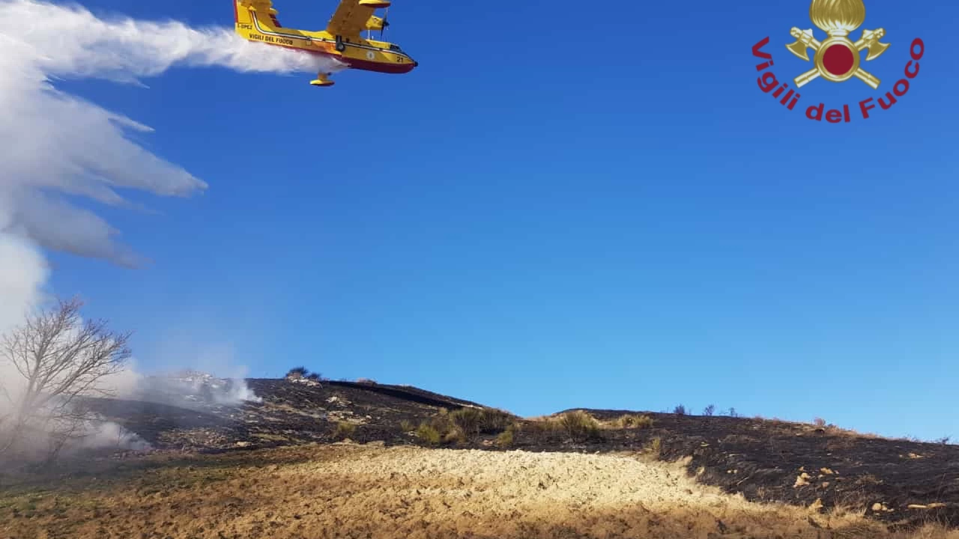 Agnone: due diversi incendi nella giornata odierna. Andati a fuoco 12 ettari di macchia mediterranea. Le operazioni dei Vigili del Fuoco.