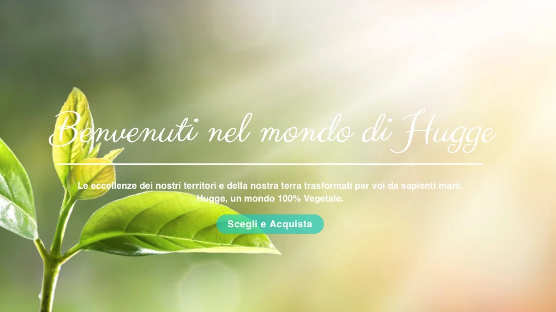 Molise: nasce Food & Life Hugge, la nuova piattaforma on-line di e-commerce per prodotti artigianali e vegetali tutti molisani.
