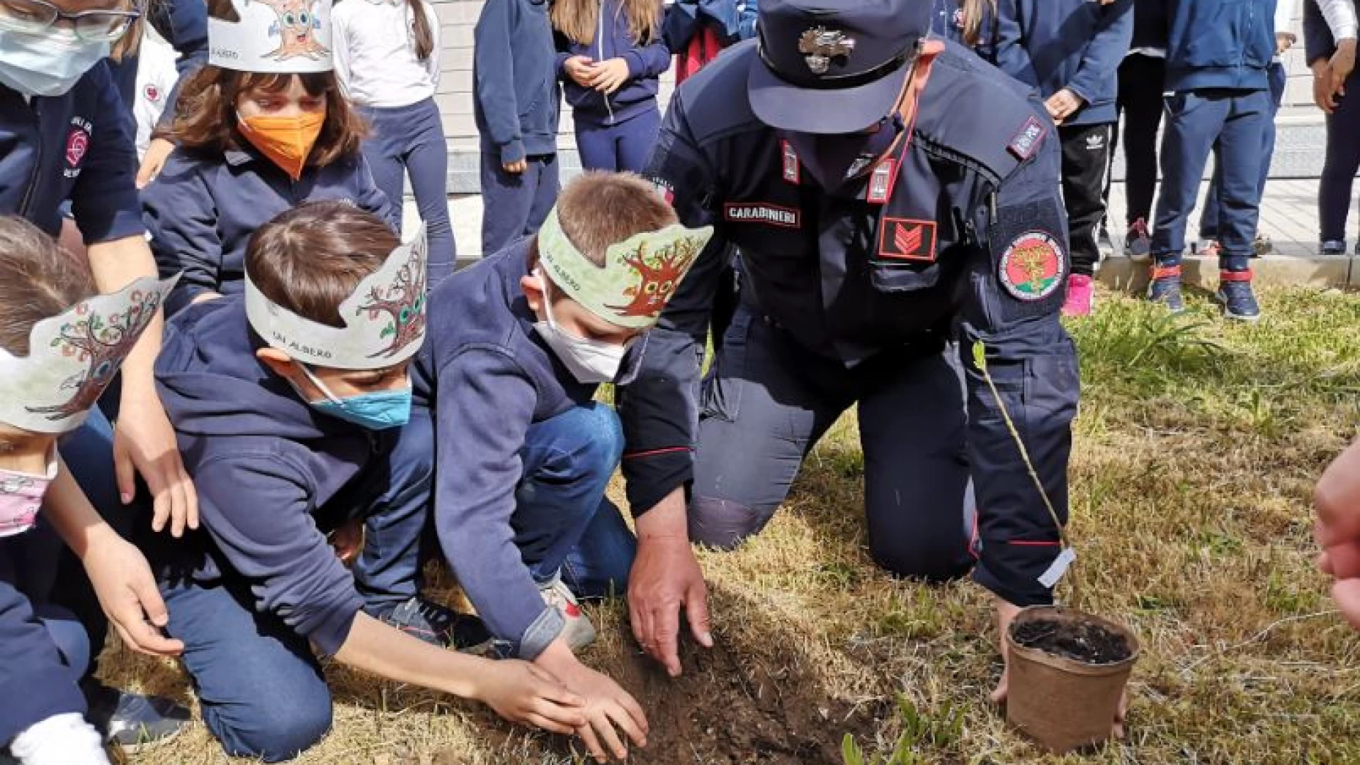Progetto "Un Albero per il futuro", continua l'impegno dei Carabinieri per la Biodiversità in tutto il Molise