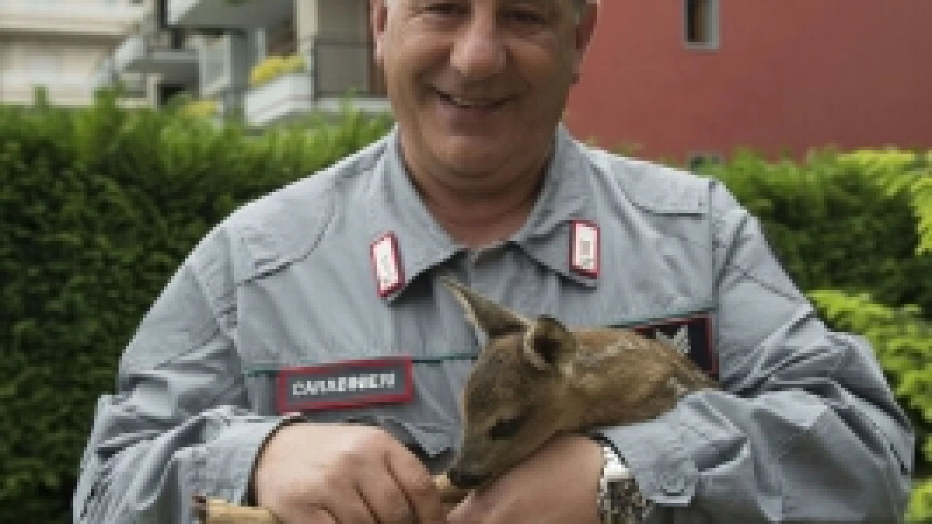 Dal Corpo Forestale ai Carabinieri Forestali. Arriva dopo 29 anni di servizio la meritata pensione per il Comandante Giovanni Milano.