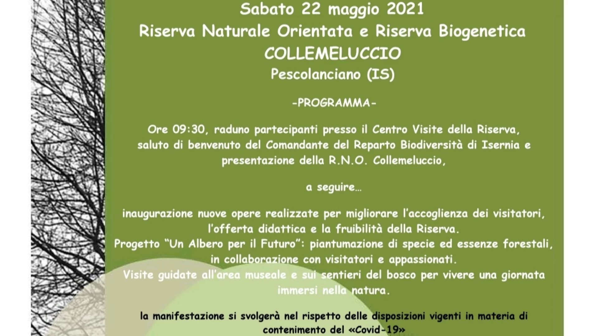 Giornata Internazionale della Biodiversità, sabato 22 maggio apertura straordinaria della Riserva di Collemeluccio