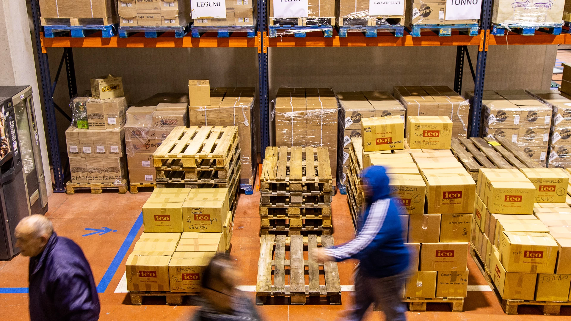 Colletta alimentare, in Molise le persone hanno donato 33 tonnellate di cibo per i bisognosi.