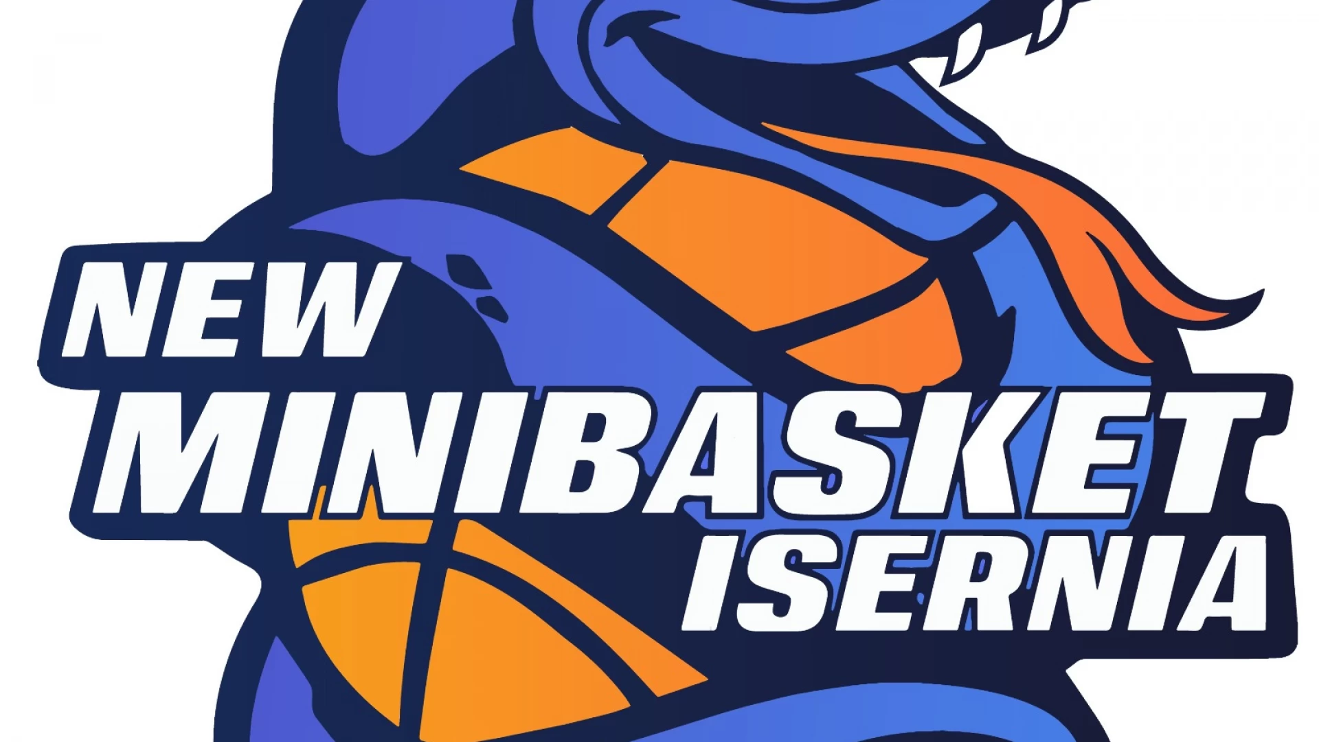 Isernia: domani l’open day promosso dalla New Minibasket per promuovere lo svolgimento dell’attività sportiva.