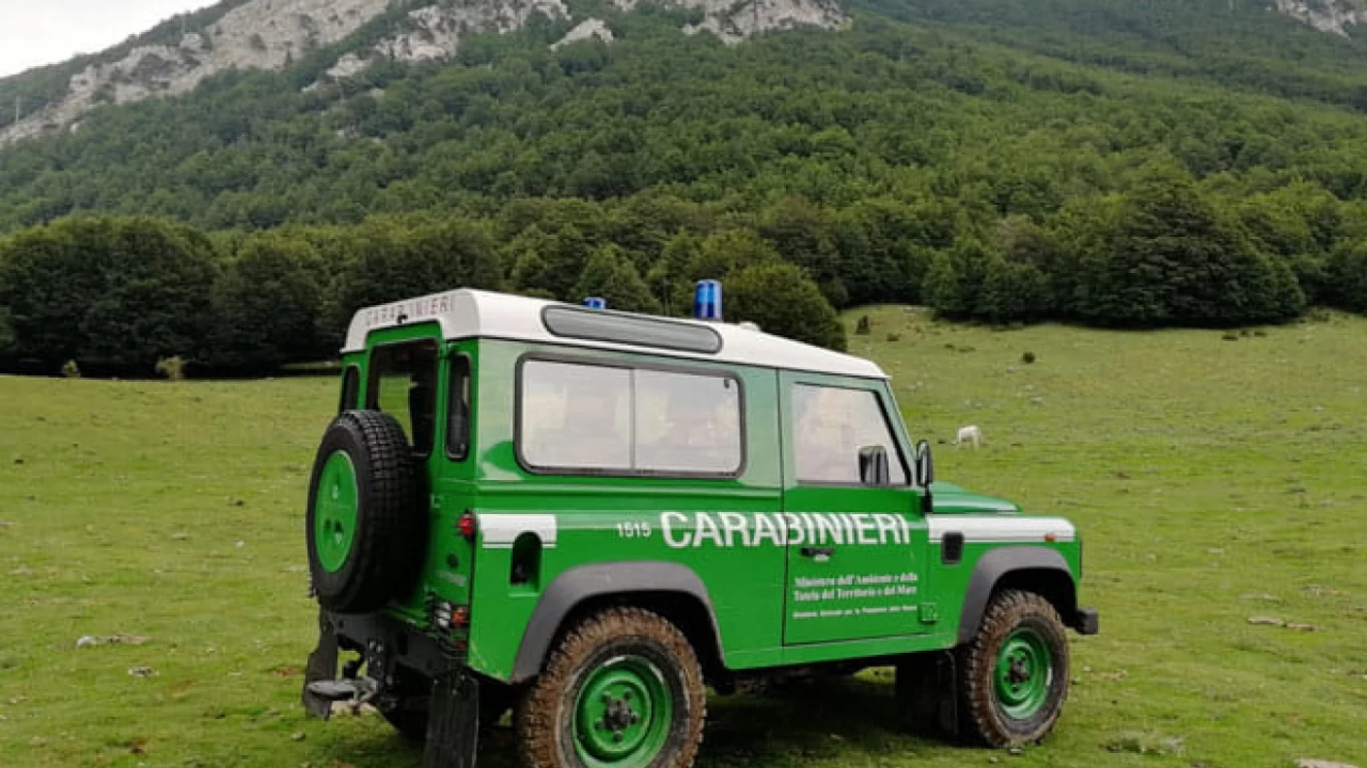 Riserve Naturali dello Stato – Intensificazione controlli da parte dei Carabinieri Forestali di Isernia
