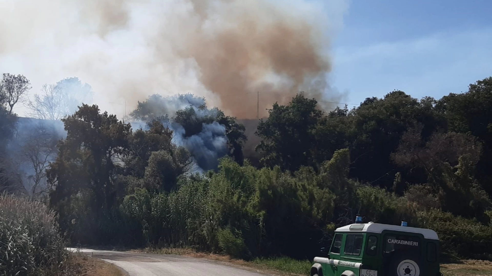 Incendio boschivo colposo, i Carabinieri Forestali deferiscono una persona a Lucito.