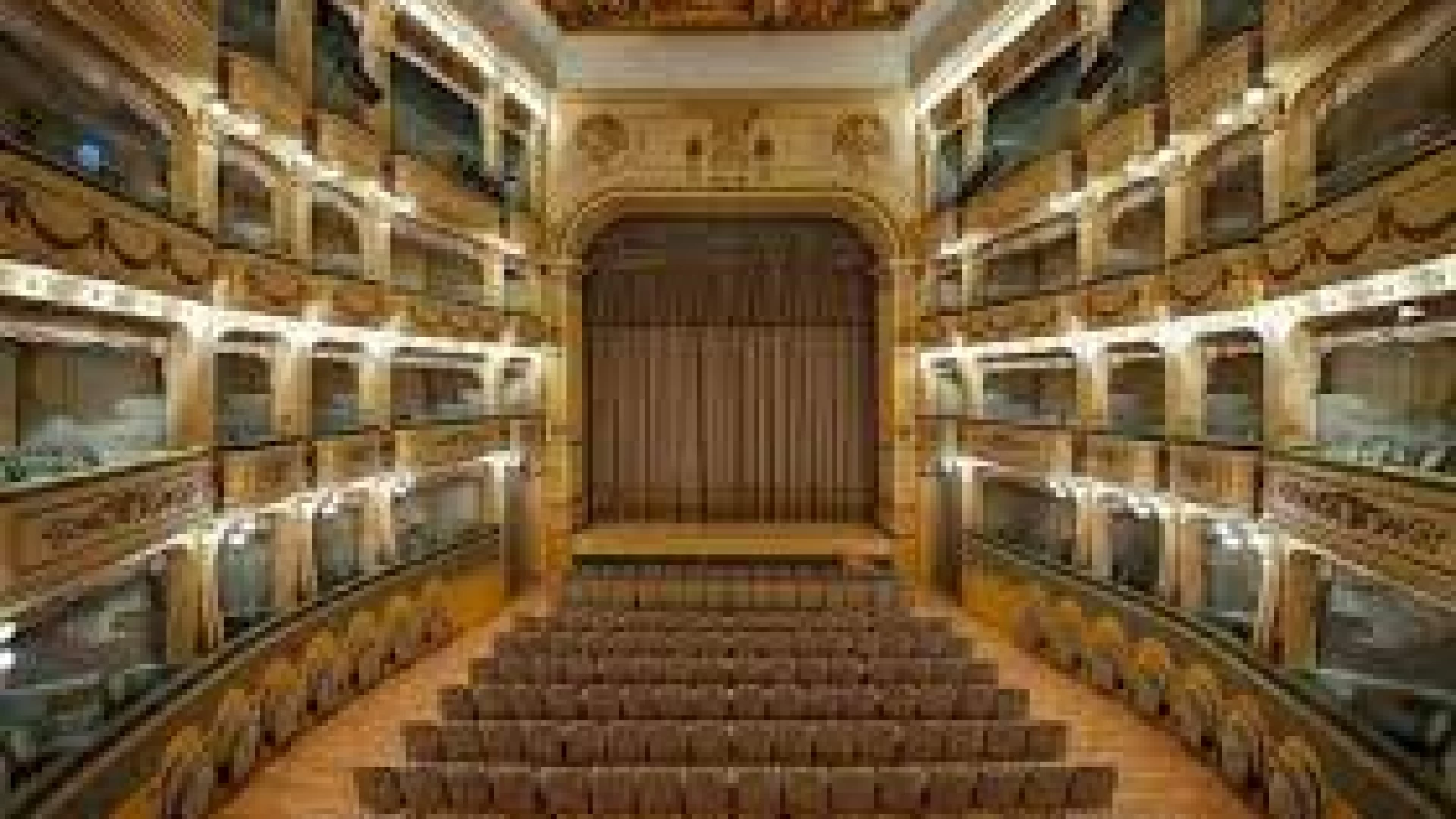 Concerto di Natale per la pace al Teatro Savoia di Campobasso si esibira' l'Orchestra scolastica regionale del Molise.