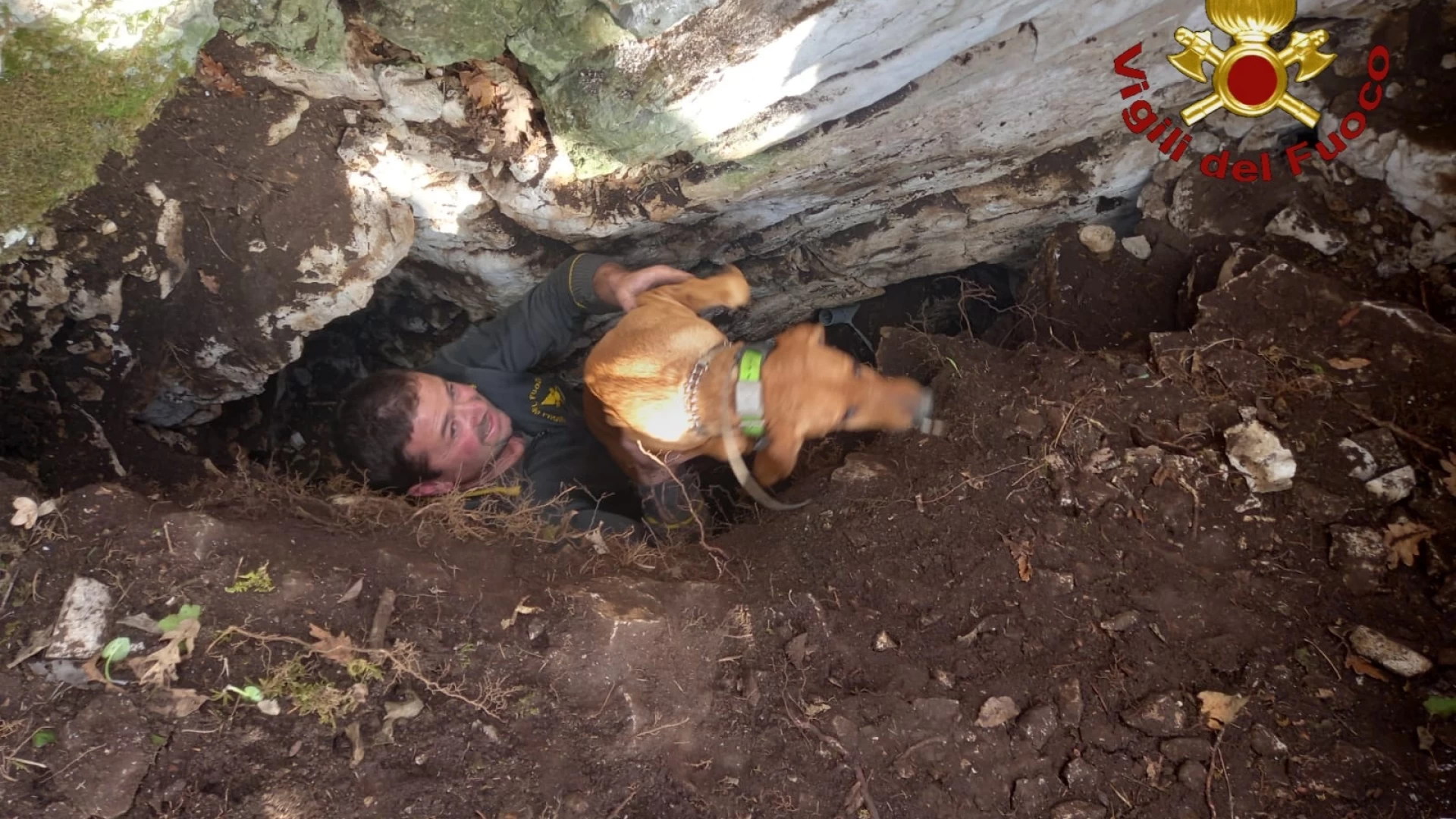 Pietrabbondante: i Vigili del Fuoco di Agnone mettono in salvo due cani bloccati in un cunicolo.