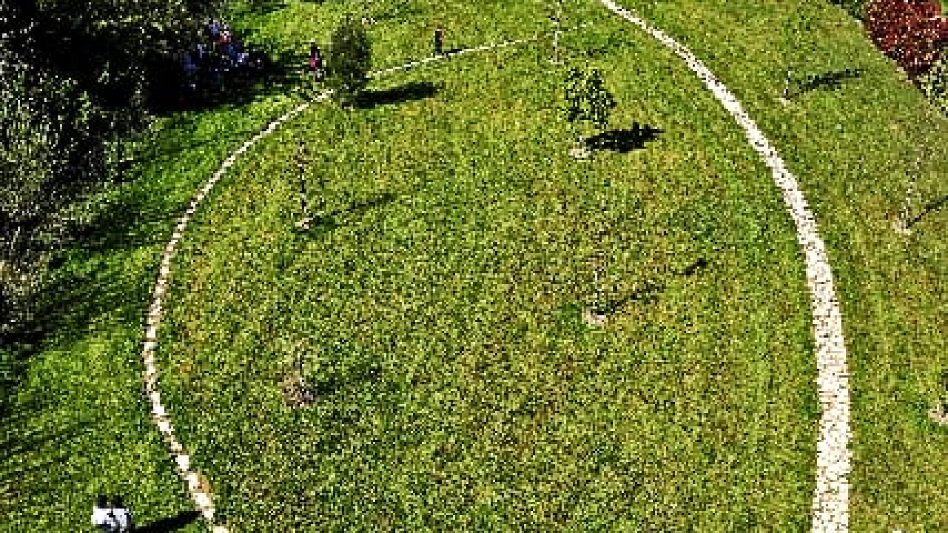 Coltivazione degli olivi, domenica 5 maggio l’incontro promosso dall’Arboreto “Giancarlo Cipressi” di Santa Maria Arabona-Manoppello
