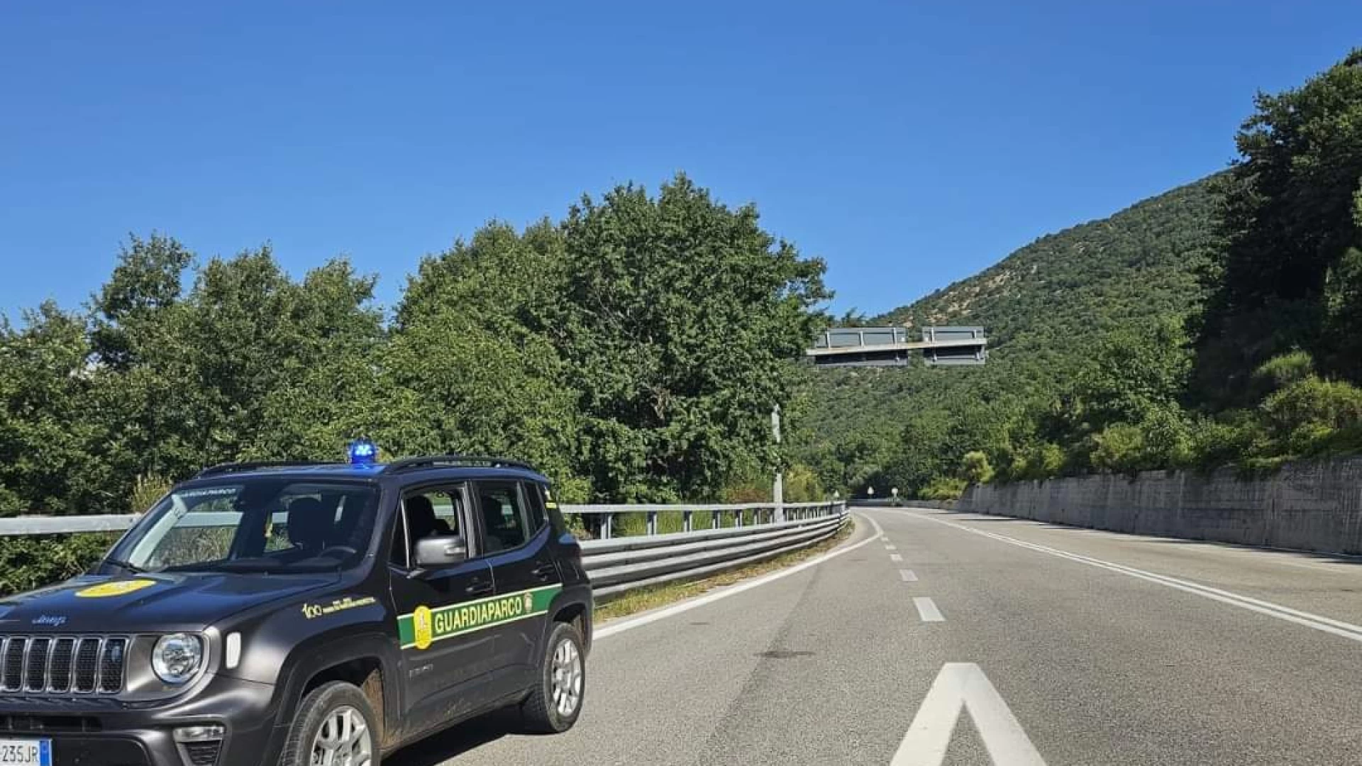 Incidente con un orso bruno marsicano sulla Sora-Avezzano SS690 all'altezza di Canistro