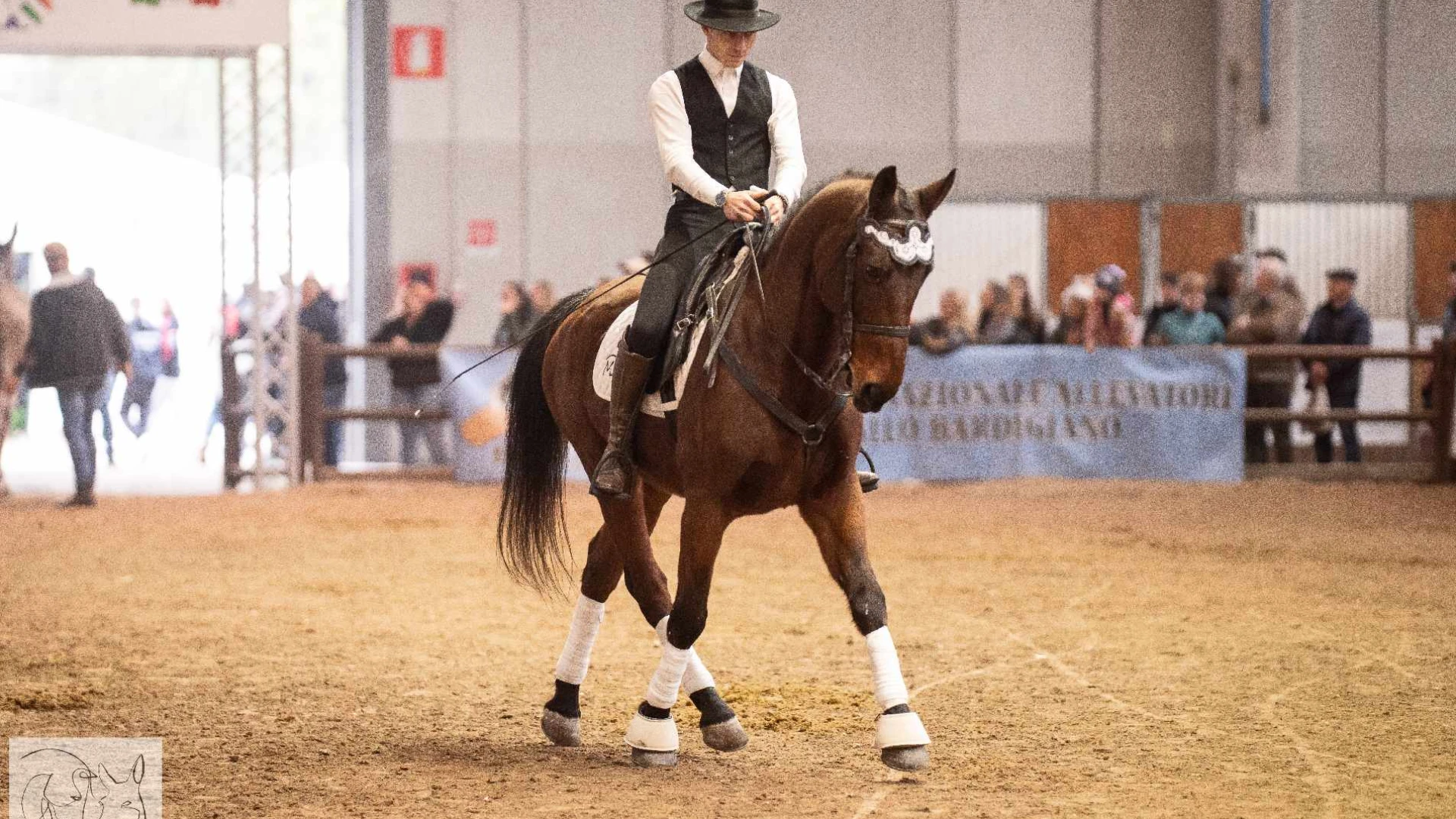 Ad Isernia il primo meeting del cavallo pentro. Appuntamento per sabato 5 ottobre presso la scuola di equitazione "IL GINEPRO".