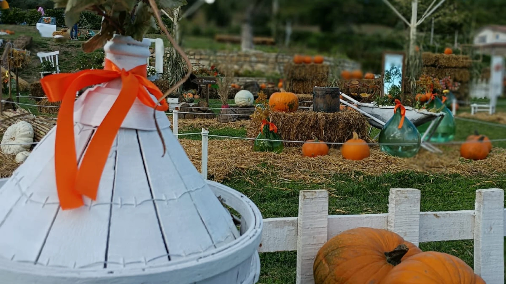 BOJANO: Villa delle Zucche celebra la zucca in ogni sua forma, fino al 3 Novembre 2024