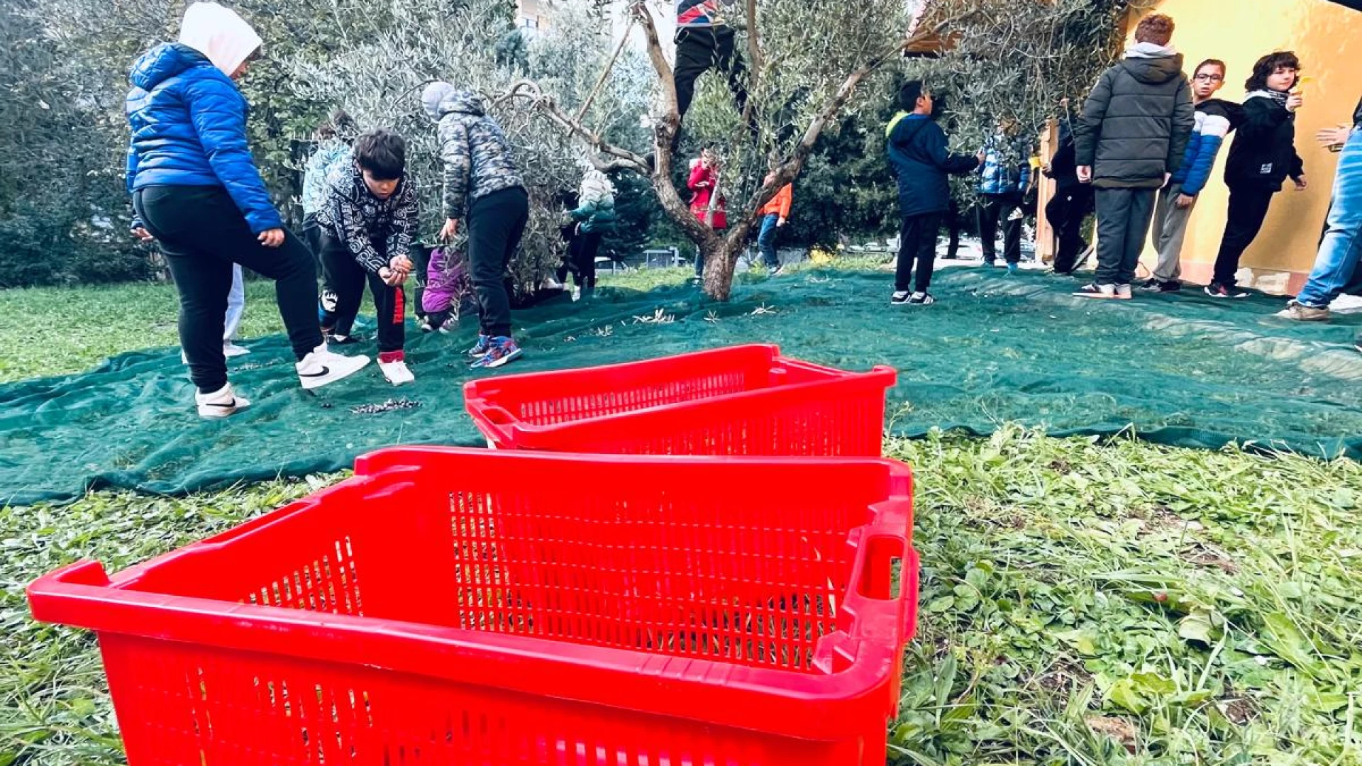 Isernia: gli alunni dell'I.C. Giovanni XXIII hanno preso parte al progetto " Ragazzi in campo, dalle olive all'olio".