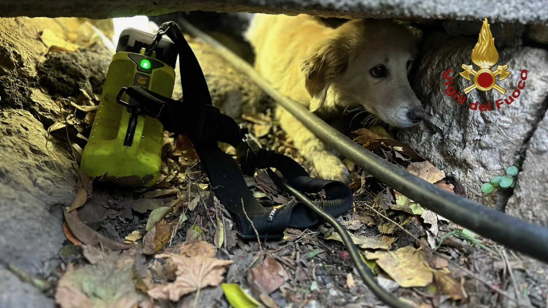 Diversi gli interventi dei Vigili del Fuoco di Isernia nel pomeriggio. A Macchia d’Isernia recuperata pecora incinta. A Civitanova del Sannio salvato cagnolino finito in un canale di scolo.