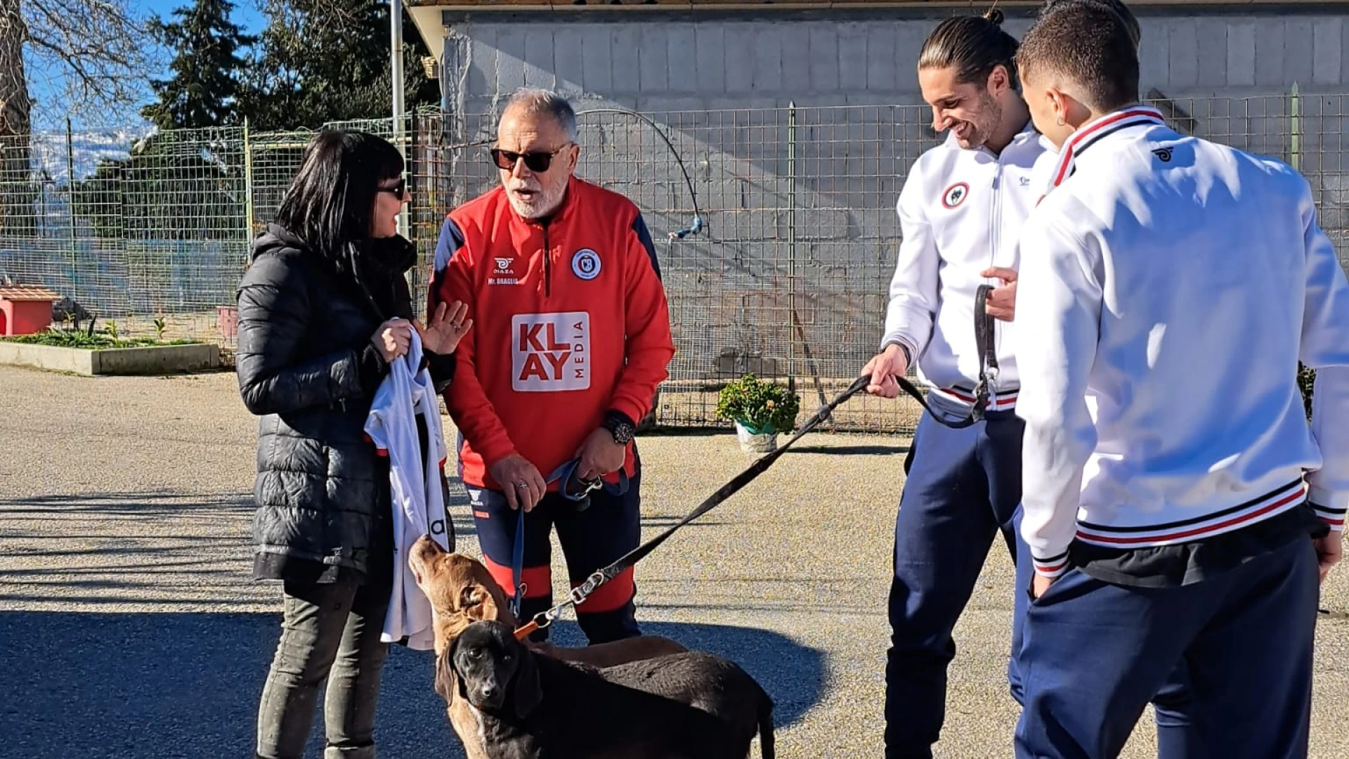 Campobasso FC e canile di Santo Stefano in campo per le adozioni