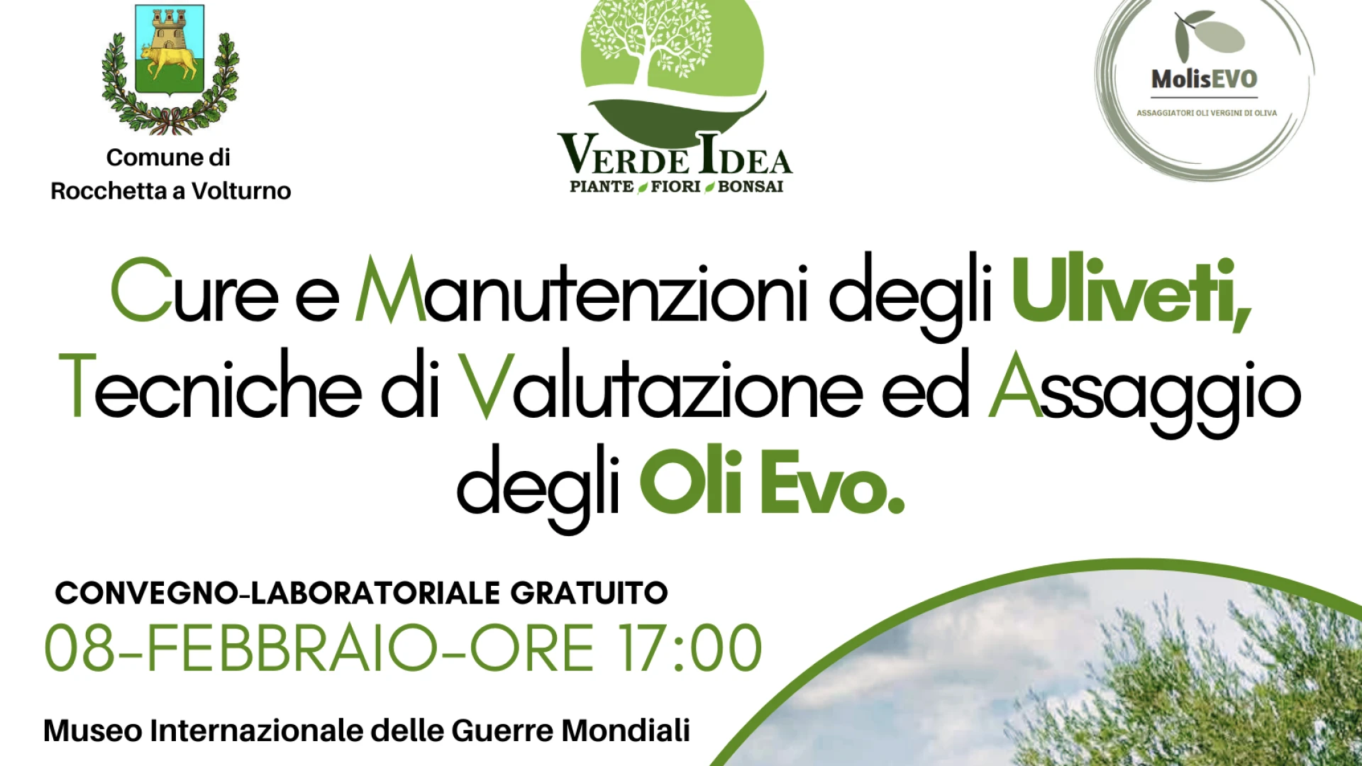 Cura e manutenzione degli uliveti tecniche di valutazione e assaggio degli oli evo. Sabato 8 febbraio interessante convegno a Rocchetta a Volturno.