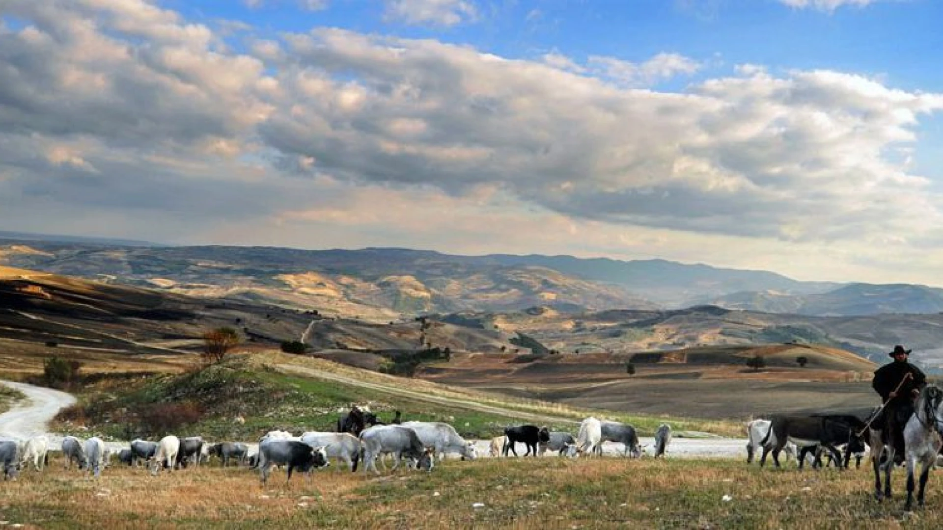 Tratturi: Coldiretti Molise, dalla loro valorizzazione nascono benefici ambientali ed occupazionali.