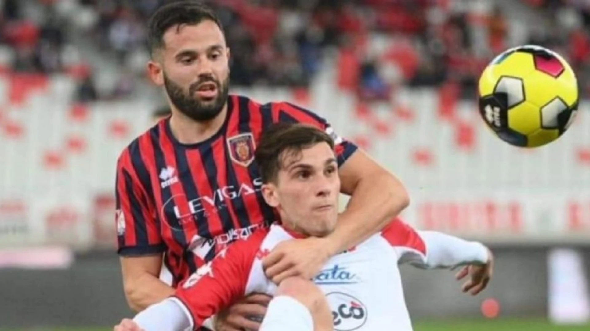 Amichevole di cartello per il Campobasso FC, incontrerà il Bari il 26 luglio