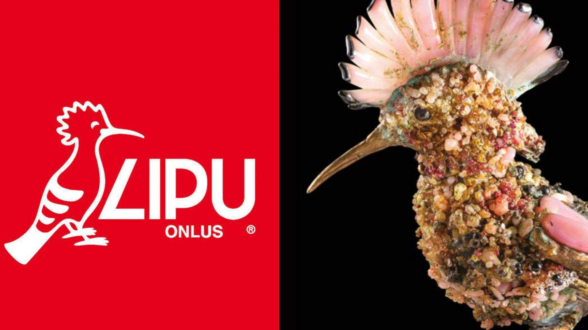 Macchiagodena: nasce una nuova riserva naturale frutto dell'accordo tra REGIONE Molise, comune di Macchiagodena e Lipu.