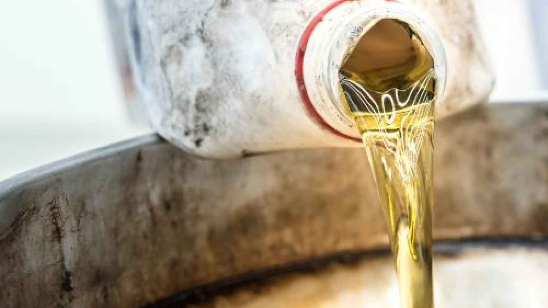 RenOils: in Molise ritirate 191 tonnellate di oli alimentari esausti