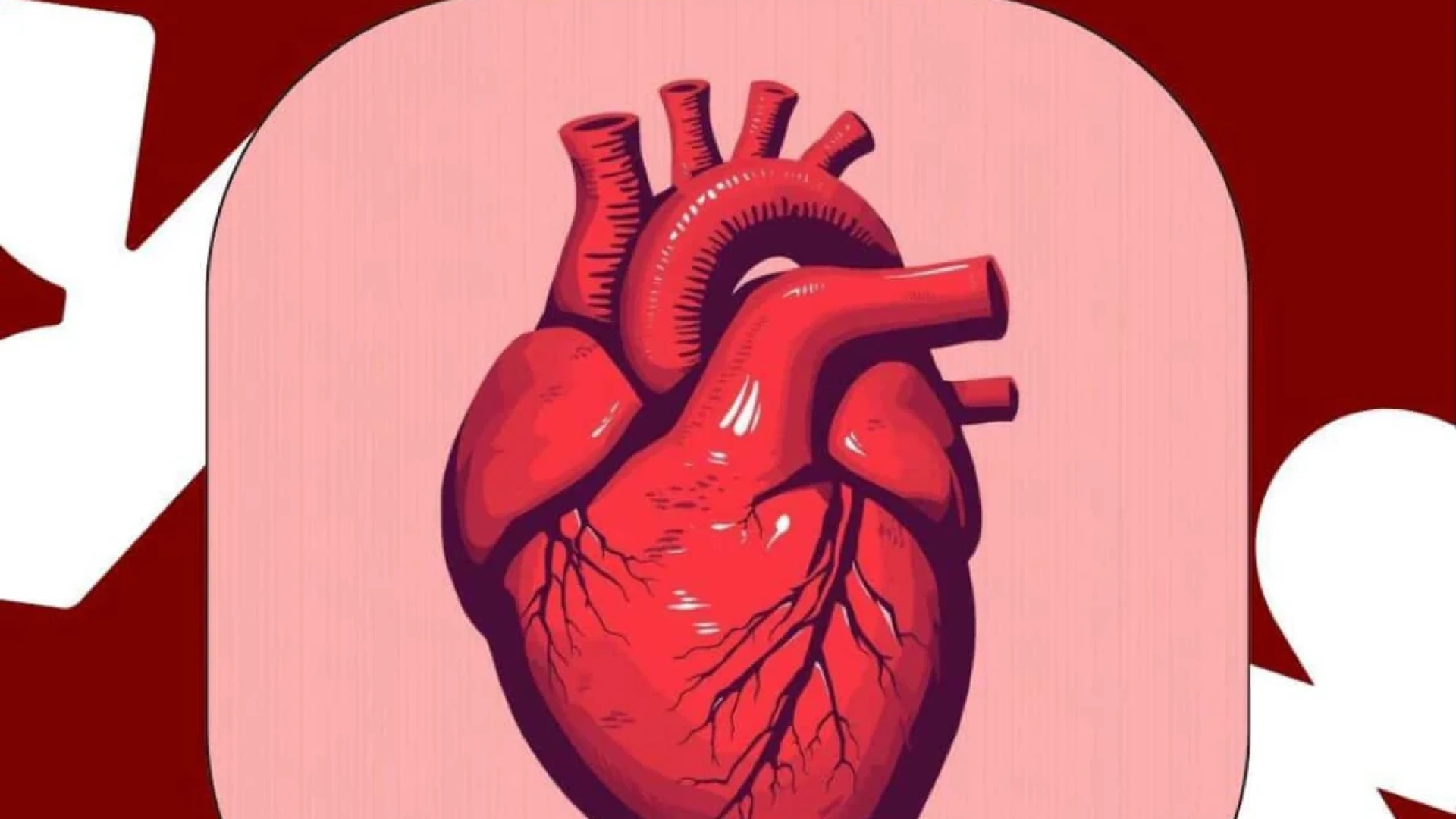 Screening cardiologico gratuito per giovani adulti: iniziativa a Isernia il 4 aprile