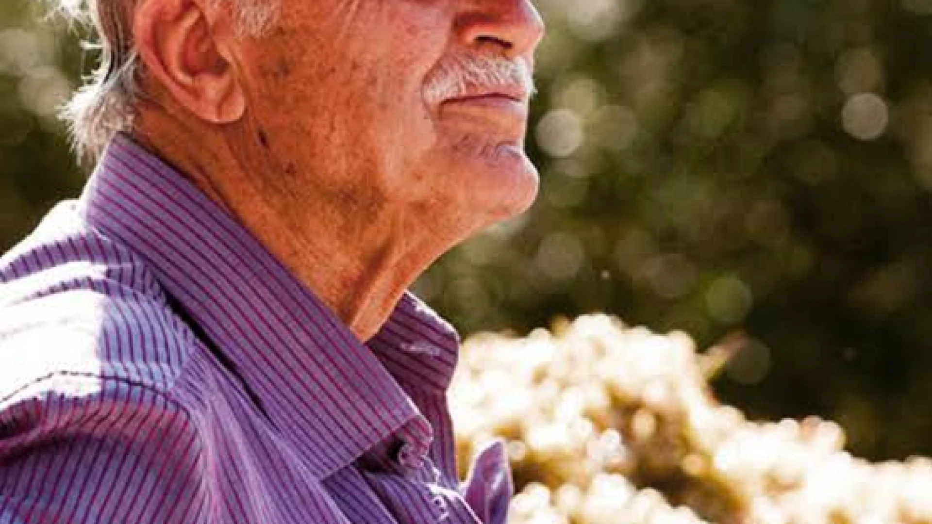 Mondo del vino in lutto: è morto Emidio Pepe