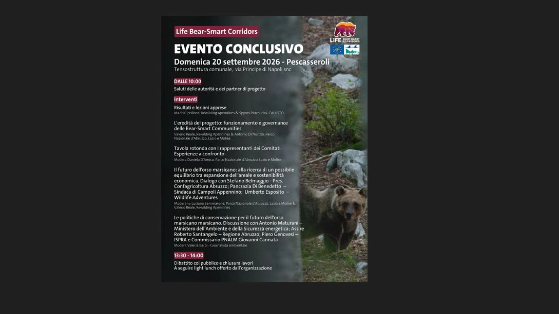 LIFE Bear-Smart Corridors: la fine del progetto, l’inizio di un percorso che continua