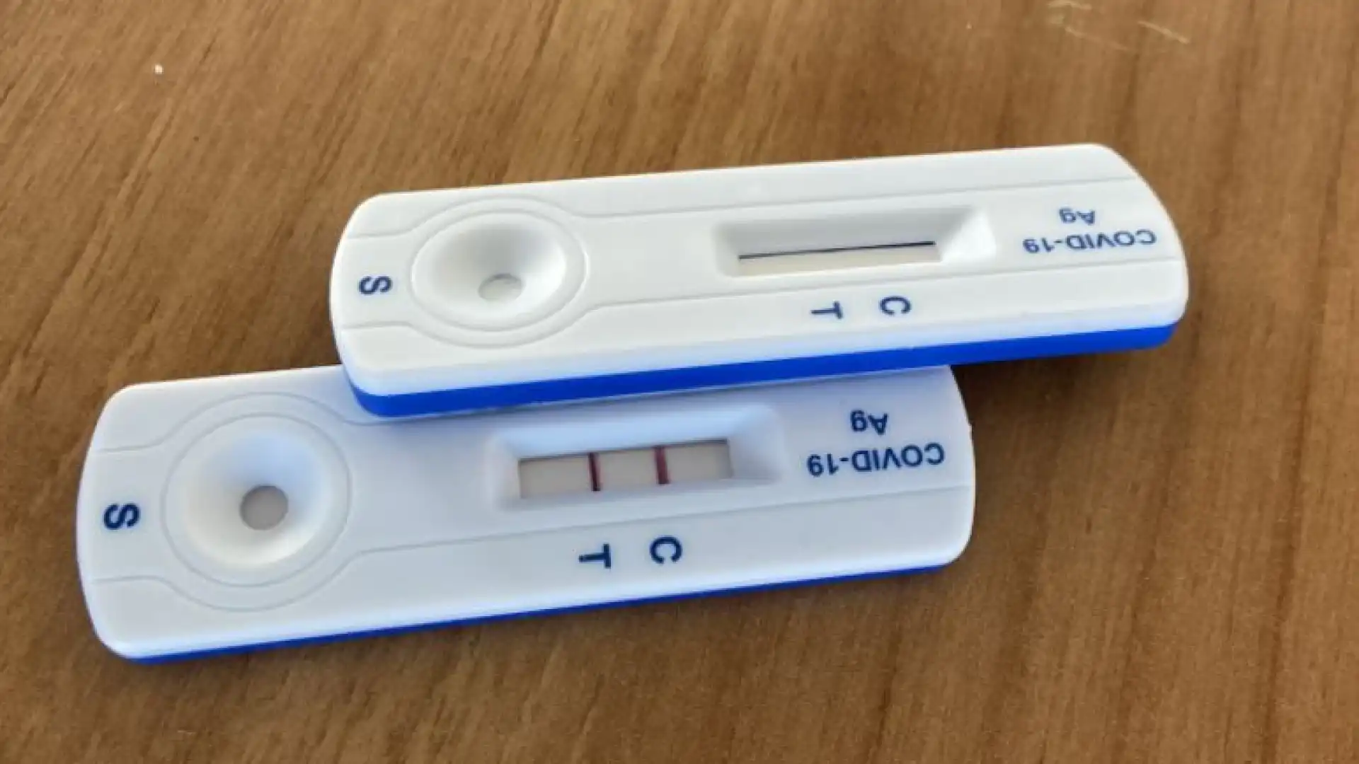 Covid in Molise: 510 guariti e 363 contagi. Registrato un nuovo decesso