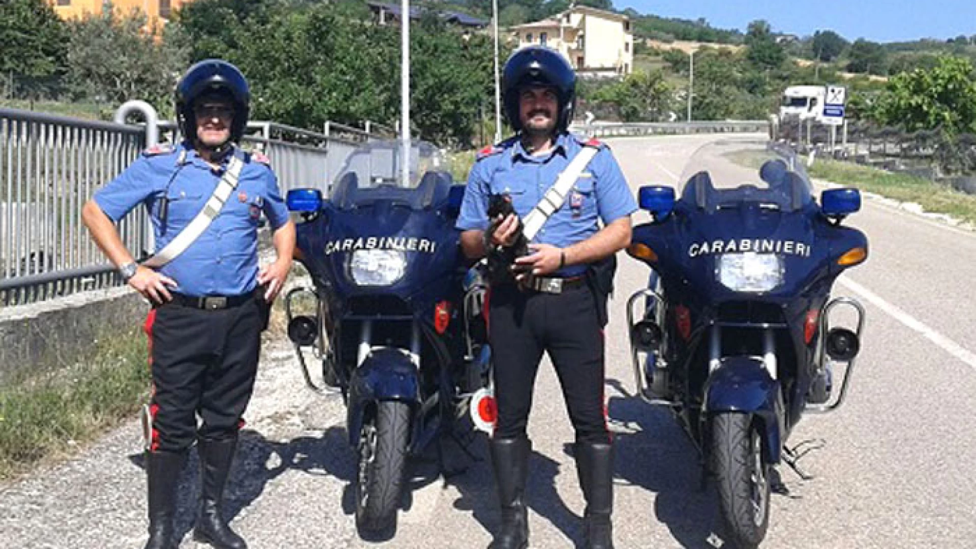 Isernia: Gattino in pericolo salvato da una pattuglia di Carabinieri motociclisti.
