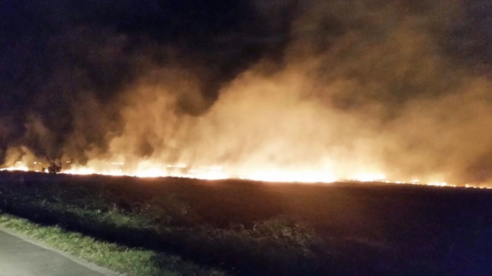 Sesto Campano: incendio di vaste proporzioni interessa un campo coltivato alle spalle della Colacem. Vigili del Fuoco in azione per domare le fiamme.