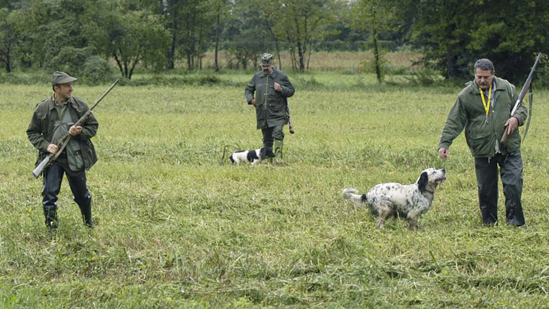 Legalizzazione abbattimenti dei lupi questione “scottante” nel territorio della Valle del Volturno.