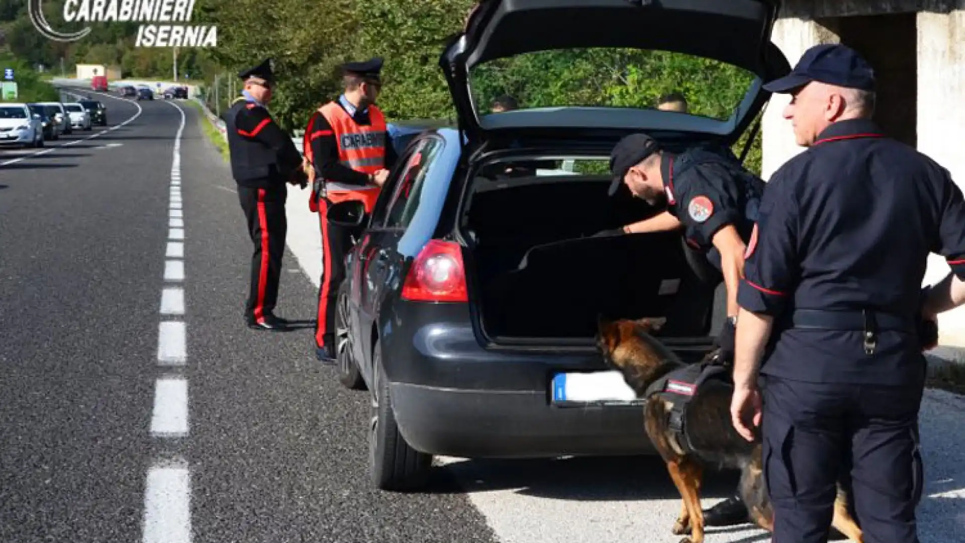 Venafro: i Carabinieri recuperano dosi di hashish nella villa comunale grazie all’utilizzo dei cinofili.