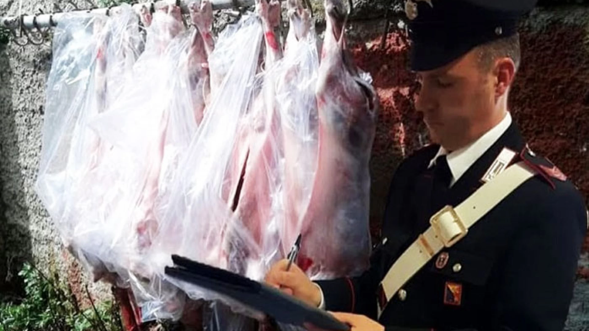 Salute dei cittadini. I Carabinieri del Nas sequestrano oltre un quintale di carne bovina e suina in pessimo stato di conservazione.