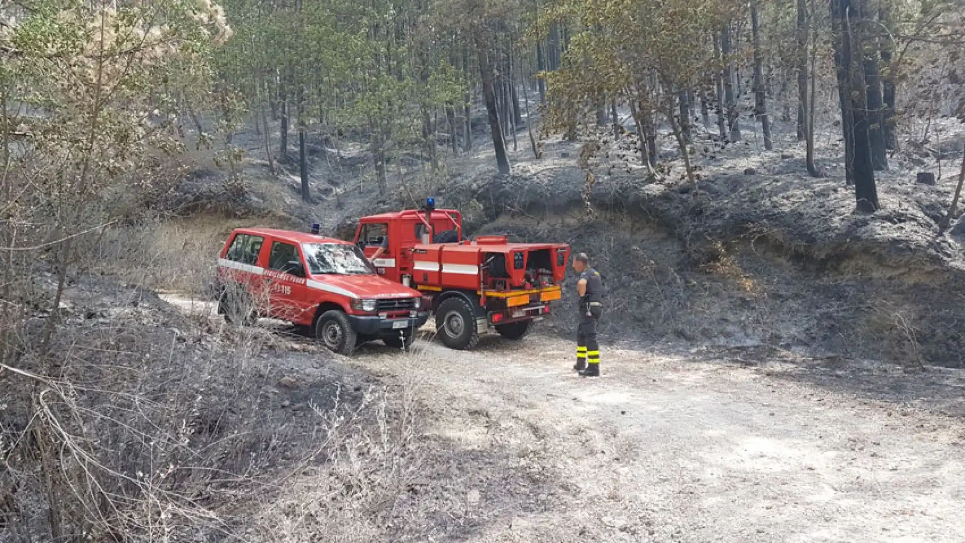 Colli a Volturno: lo scempio di Monte Tuoro nelle immagini della nostra redazione. Il fuoco distrugge la pineta.