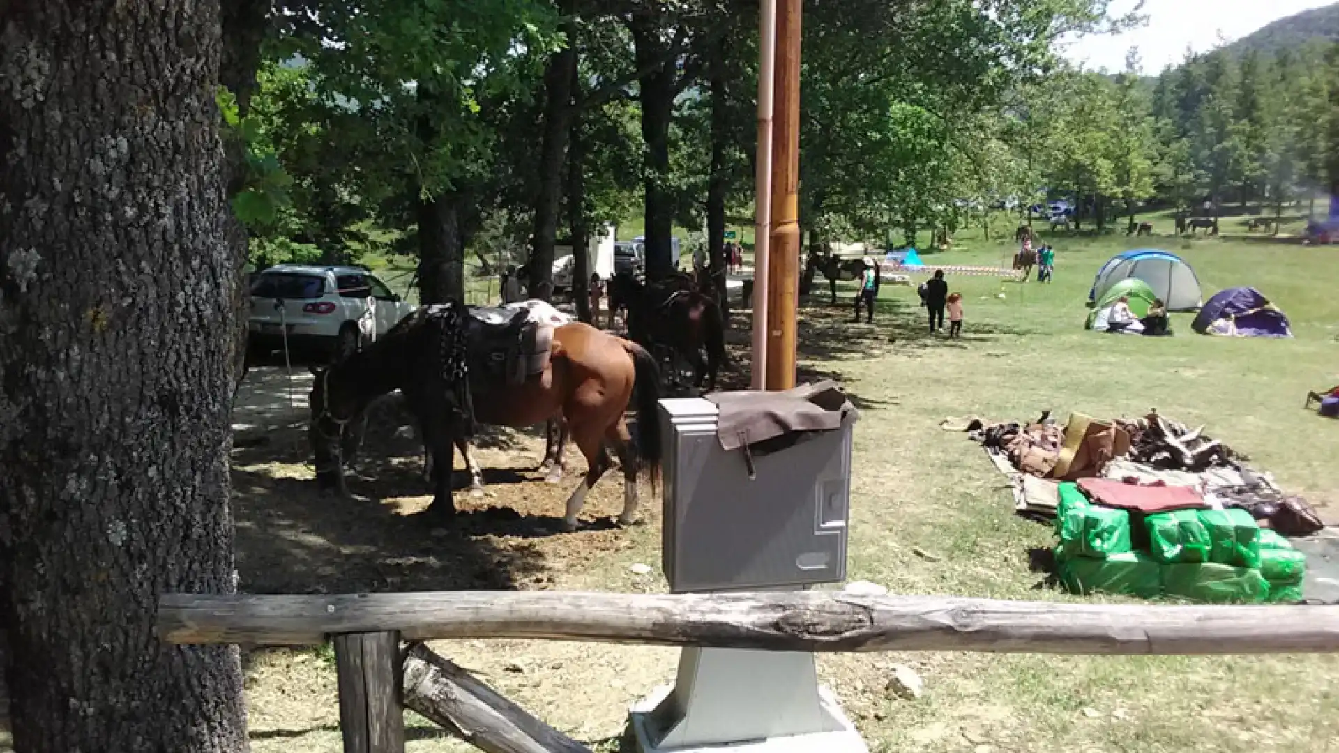 Castel San Vincenzo: le emozioni del raduno equestre Scarselli-Pacitti nel servizio a cura della redazione.