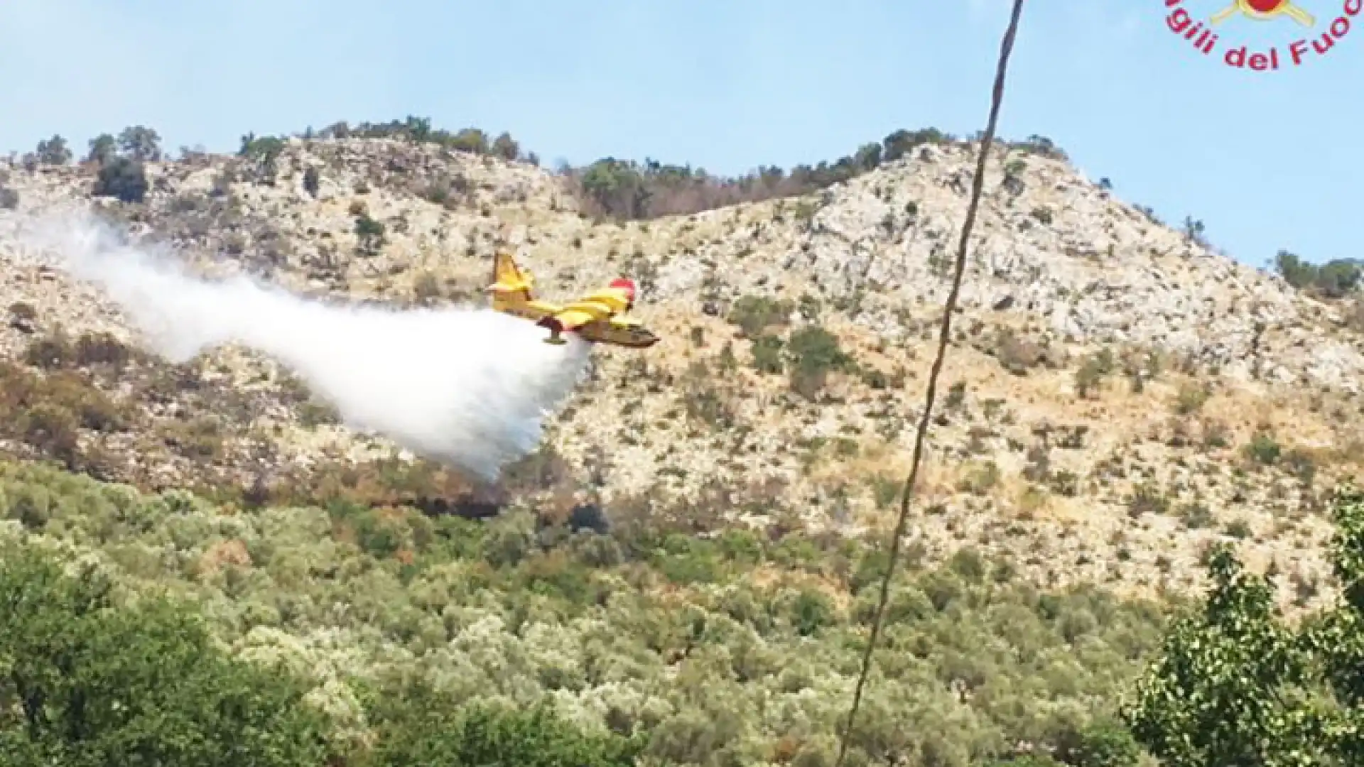 Isernia-Venafro: incendio a “Le Noci” , i Vigili del Fuoco continuano la battaglia con le fiamme. Intanto, numerosi gli interventi in tutta la provincia di Isernia.