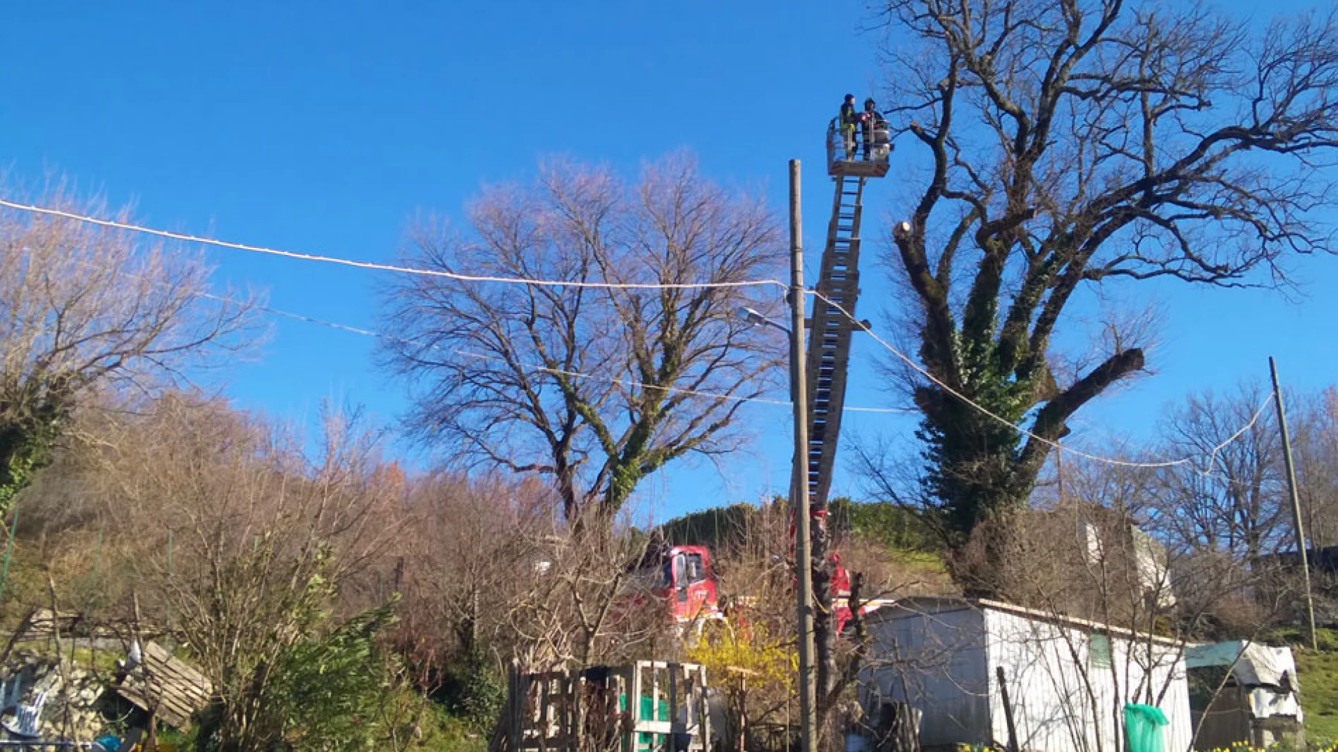 Valle del Volturno: alberi sradicati e strade impraticabili. Dopo la tempesta si fa la conta dei danni. Vigili del Fuoco in azione su Colli a Volturno per taglio alberi pericolanti.