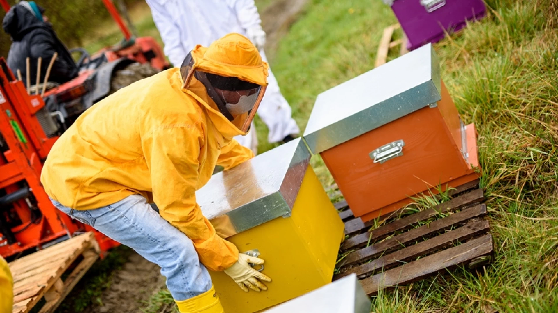 Con l’Apiario di Comunità di Castel del Giudice  nasce un nuovo strumento finanziario  a sostegno dell’apicoltura