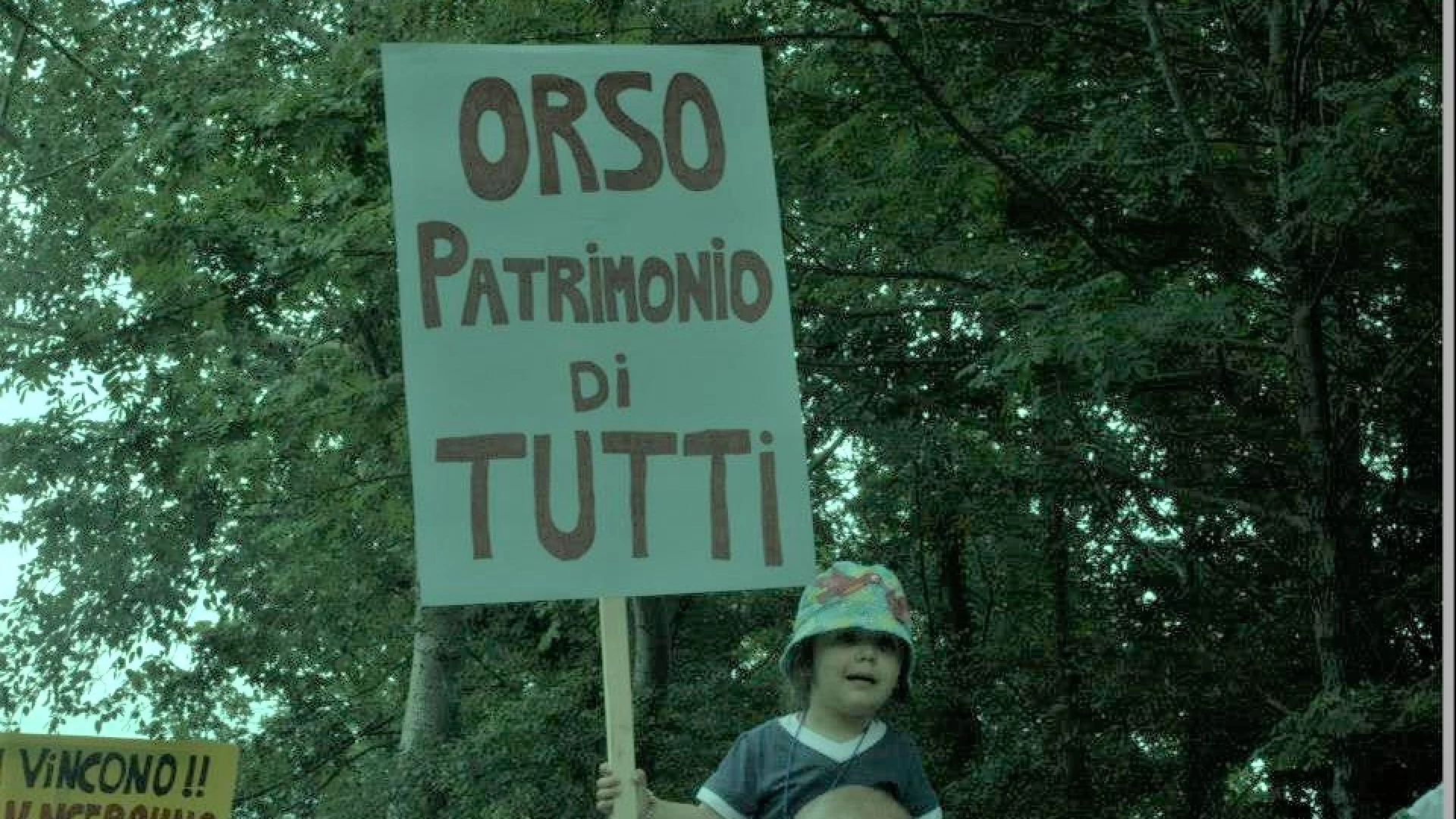 La Regione Lazio aumenta la densità venatoria nell’Area contigua del Pnalm. La protesta  continua da parte di numerose associazioni.