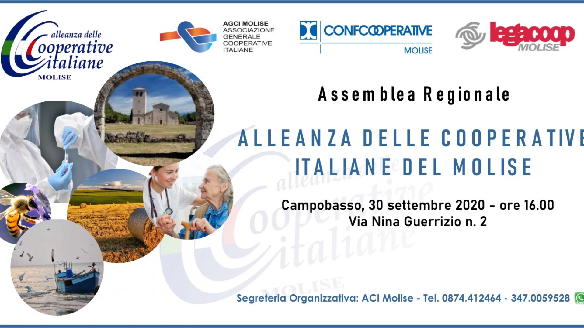 A Campobasso mercoledì 30 settembre in riunione l’Assemblea Alleanza delle Cooperative italiane nel Molise .