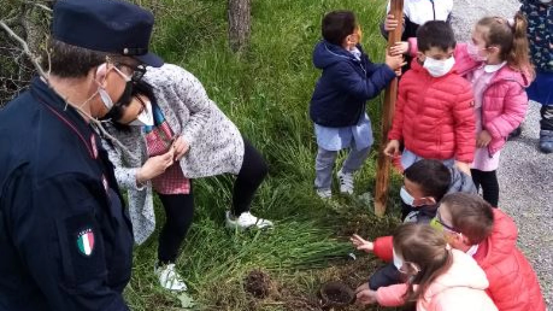 Un Albero per il futuro, nasce il bosco diffuso per il Molise.