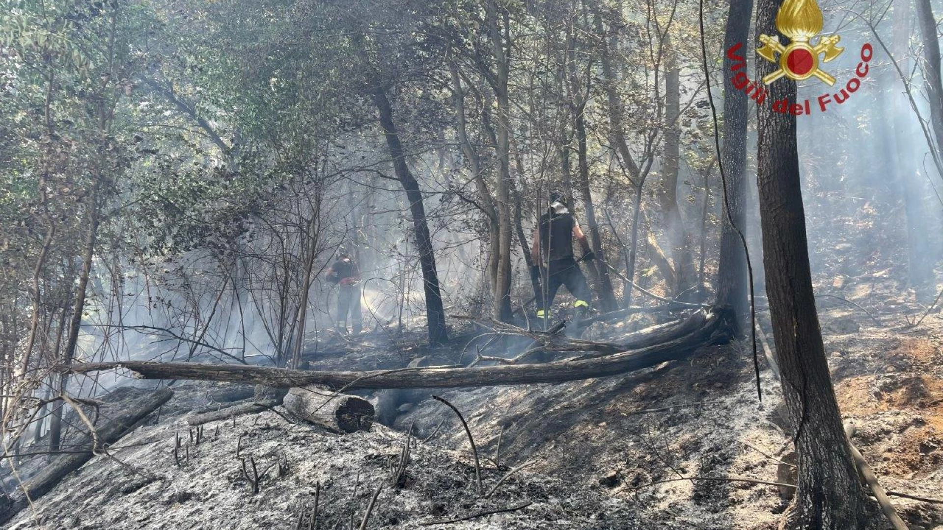 Giornata di fuoco in Provincia di Isernia, il riepilogo degli interventi dei Vigili del Fuoco di ieri