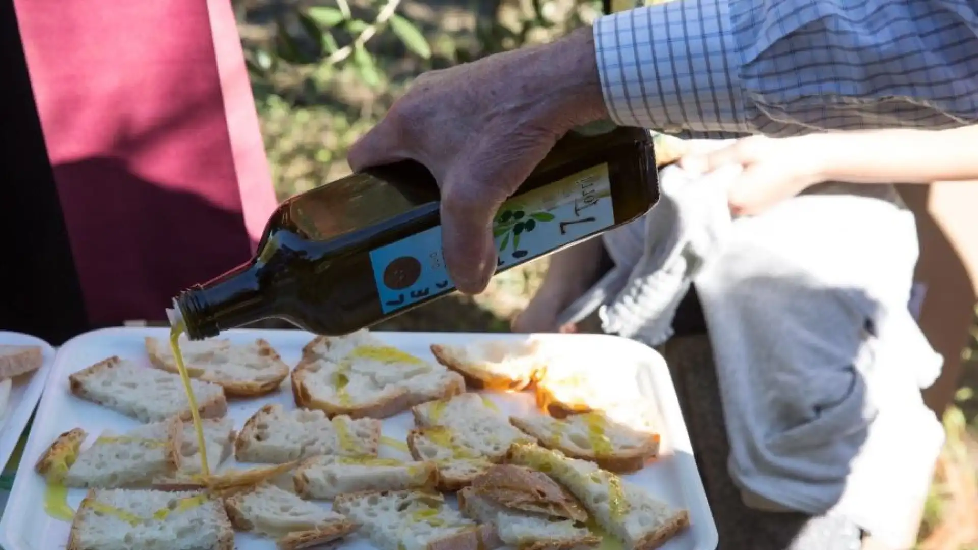 San Vincenzo al Volturno: all’Abbazia si presenterà un innovativo progetto per la produzione di olio d’oliva biologico del Molise.