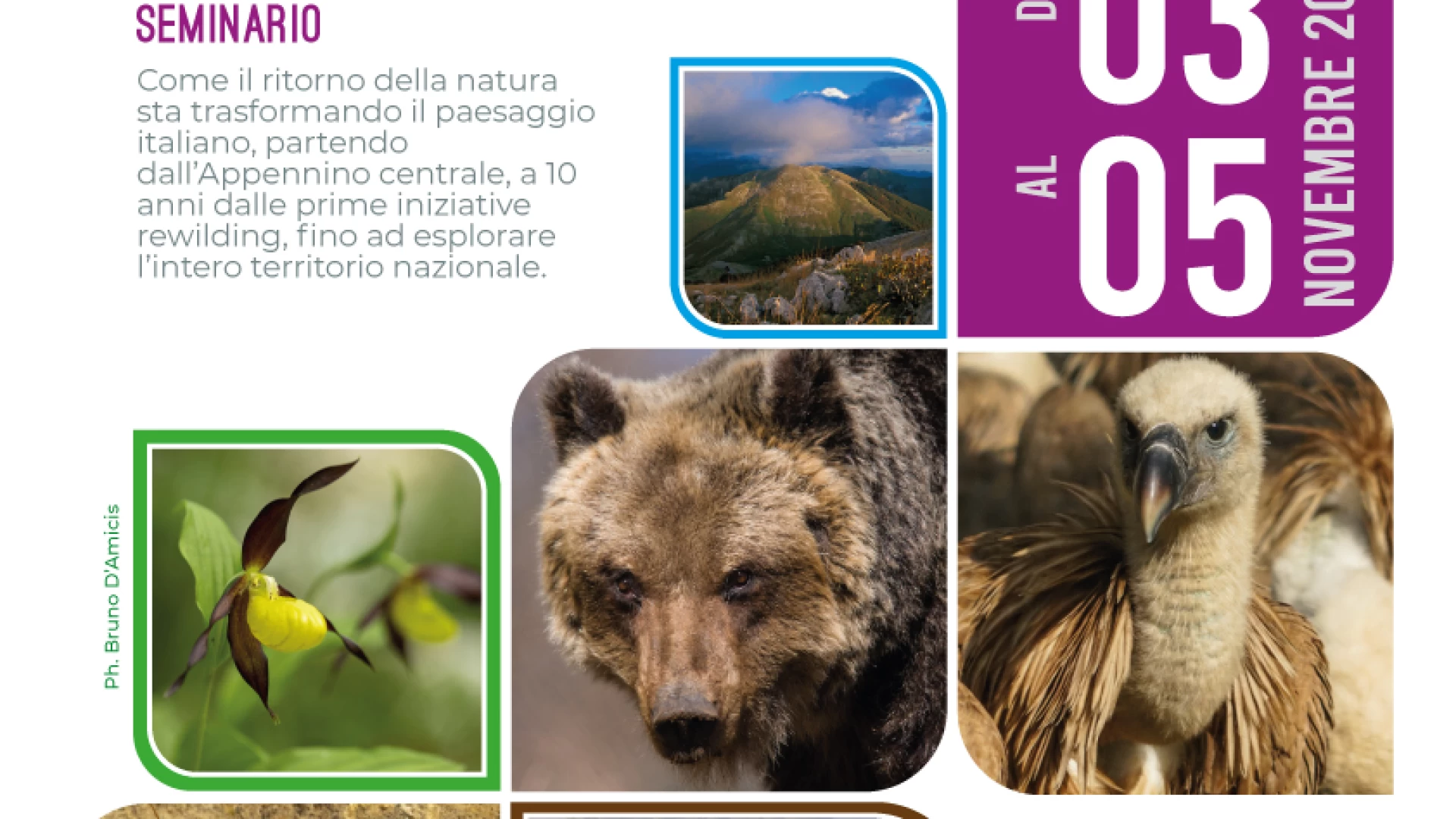 Rewilding in Italia. A Gioia dei Marsi il seminario informativo.