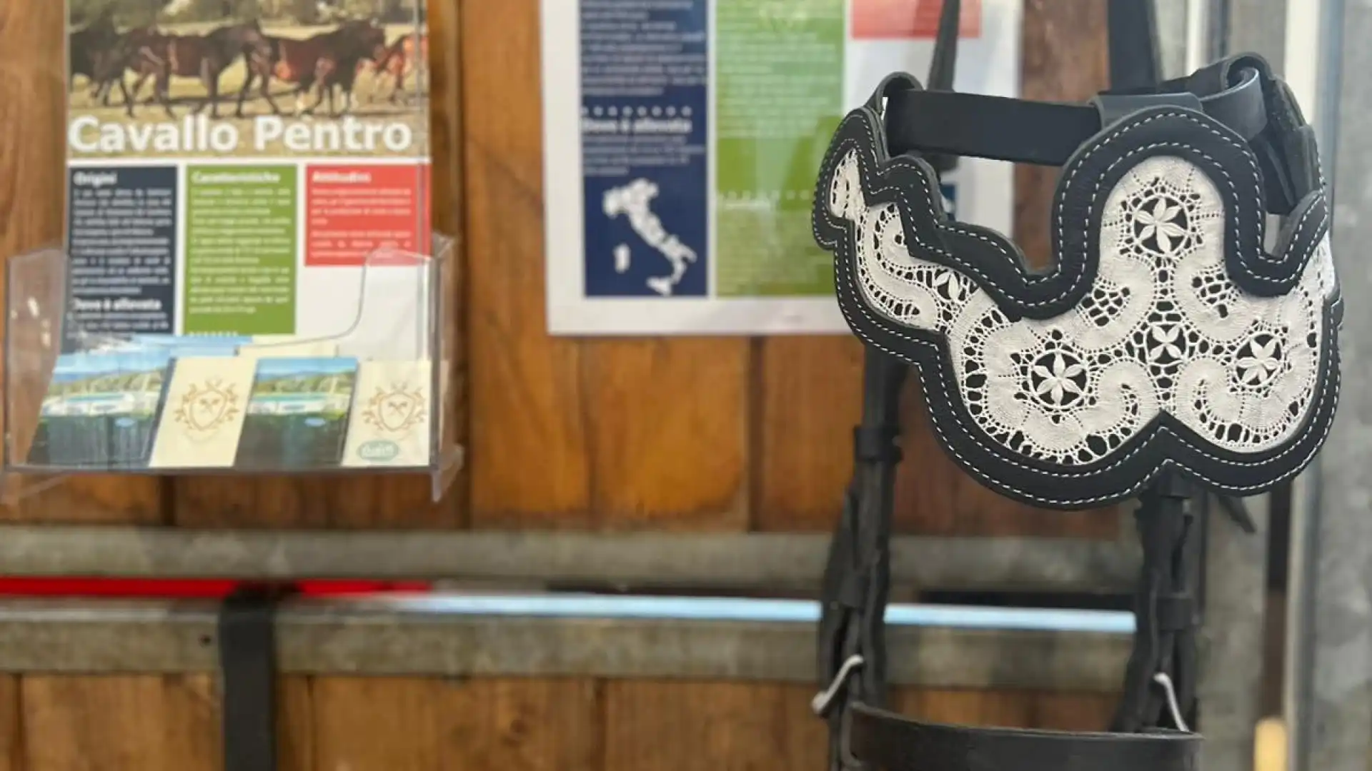 Il Ginepro protagonista a Verona con il Cavallo Pentro. - News Della ...