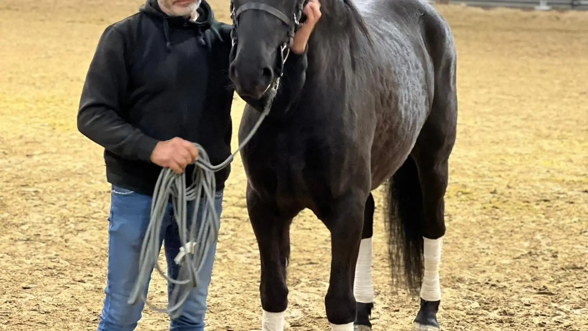Il Ginepro protagonista a Verona con il Cavallo Pentro. - News Della ...