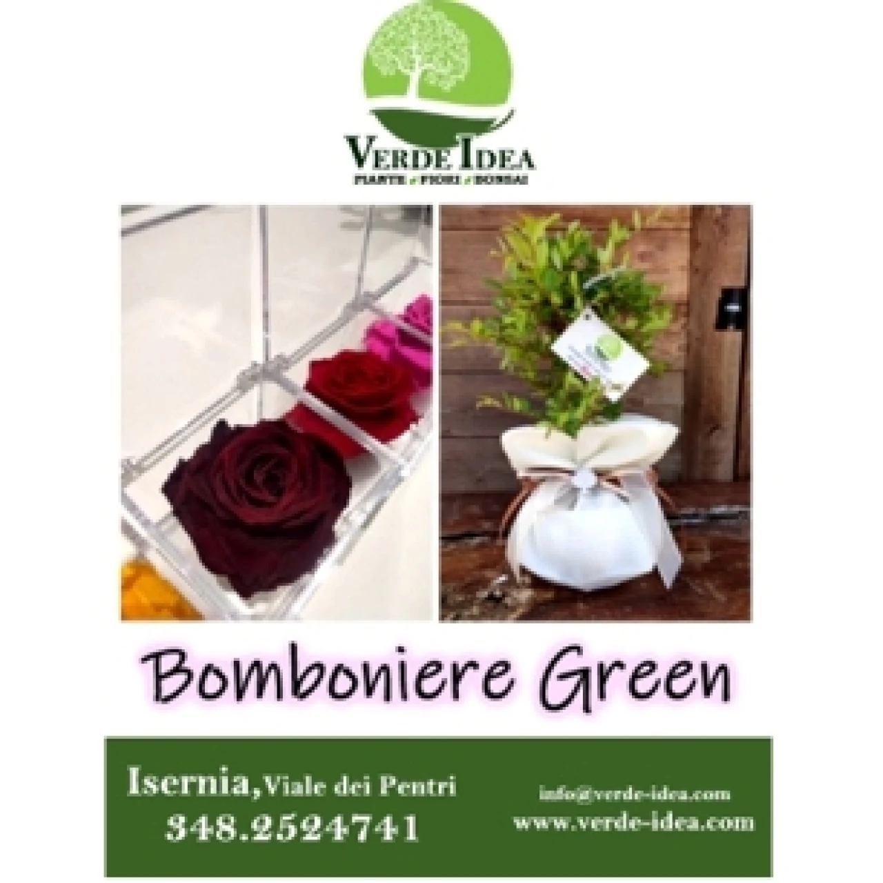 Banner Verde Idea bomboniere Green 306 per 306 pixel