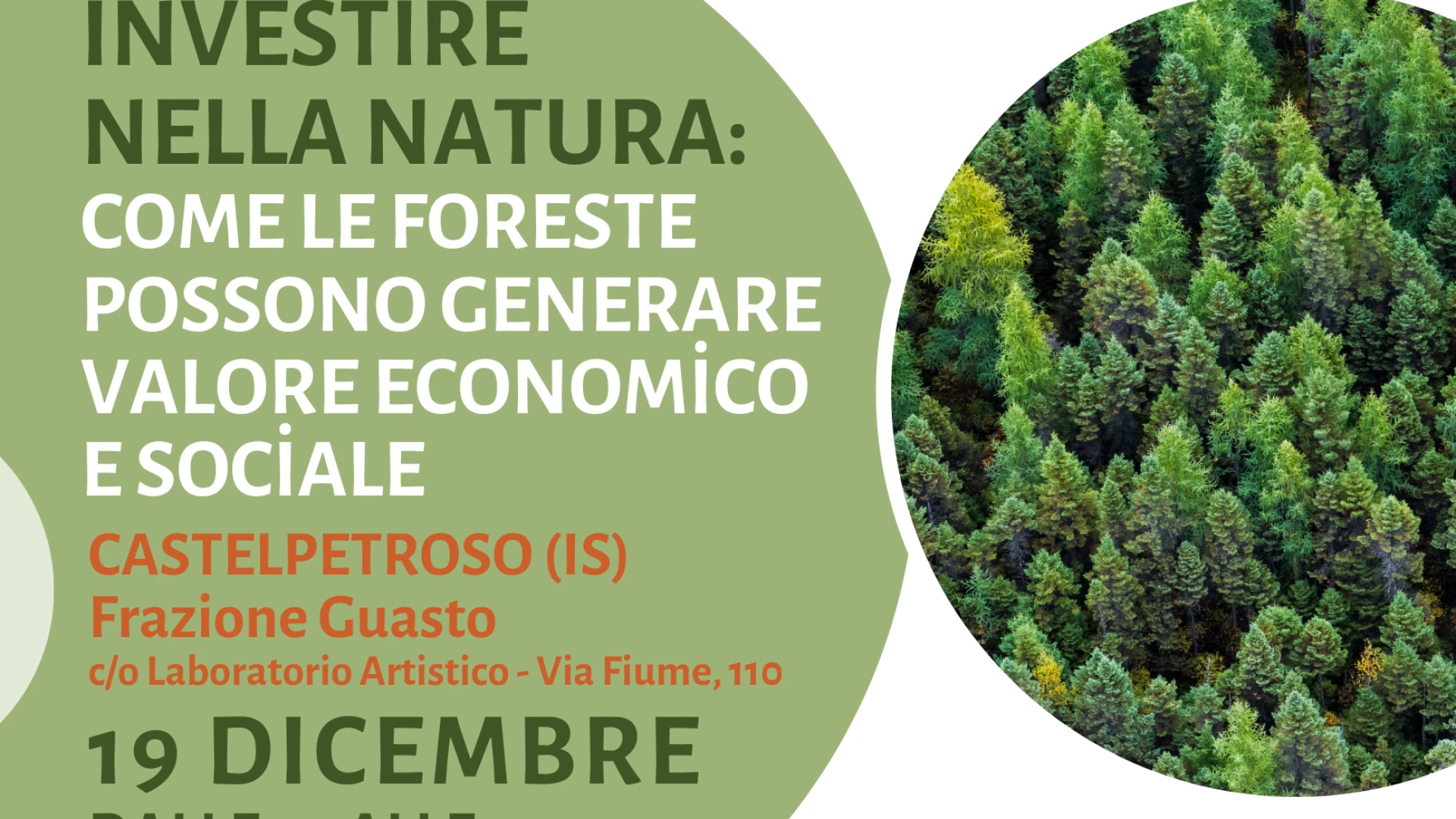 INVESTIRE NELLE FORESTE: UN EVENTO PER SCOPRIRE LE OPPORTUNITÀ ECONOMICHE E AMBIENTALI